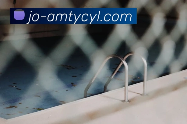 太阳城平台平台生态图